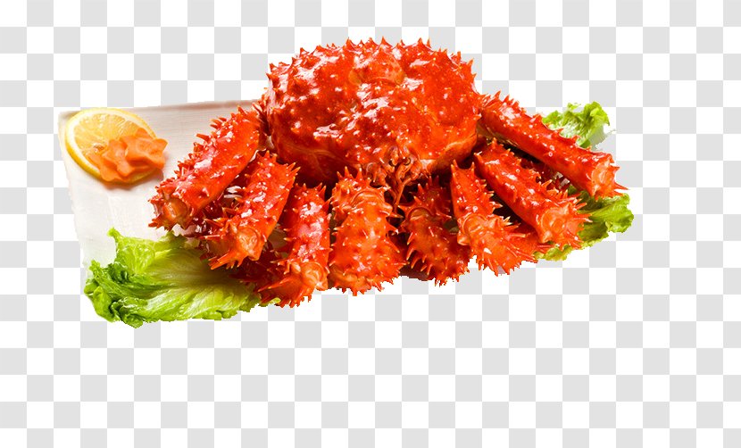Red King Crab Seafood Shrimp - Buckle-free Material Transparent PNG