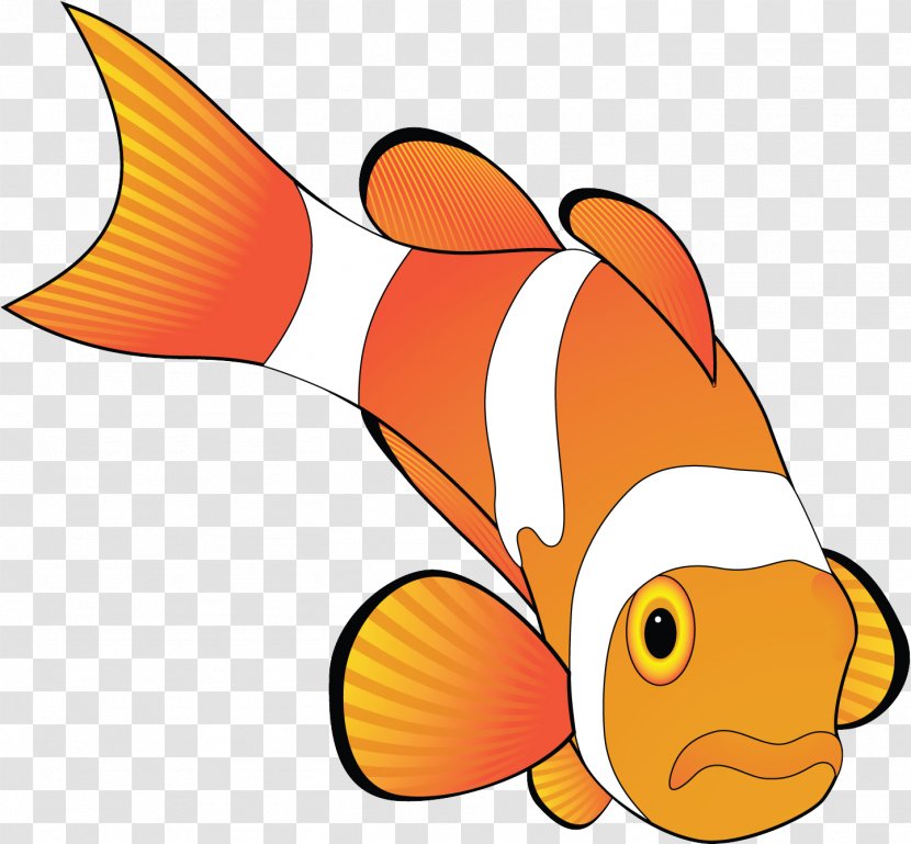 Fish Anemone Pomacentridae Clownfish - Goldfish Tail Transparent PNG