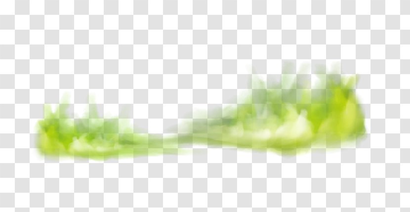 Green Download Icon - Organism - Grass Transparent PNG
