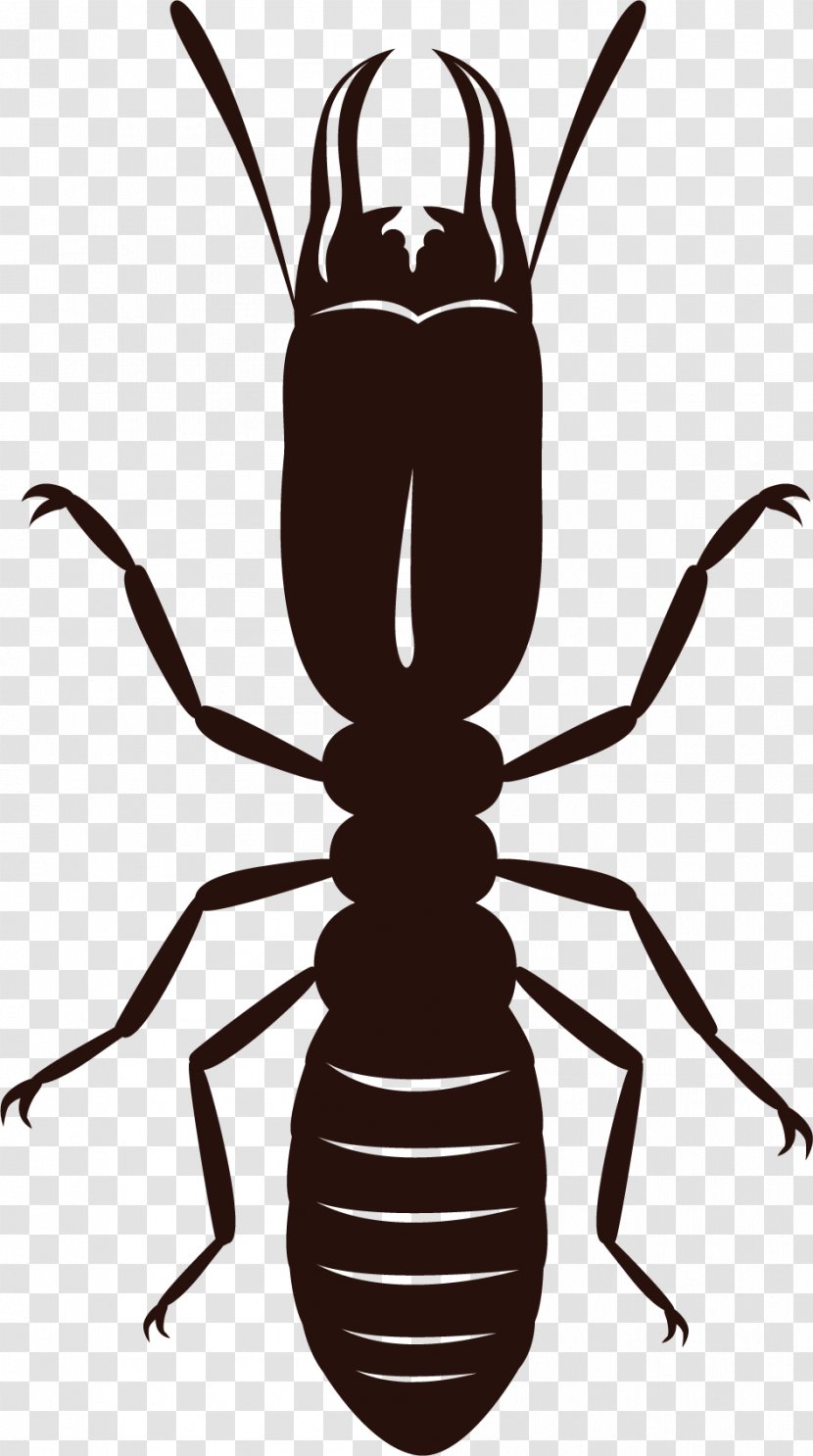 Insect Eastern Subterranean Termite Cockroach Clip Art - Pest Control Transparent PNG