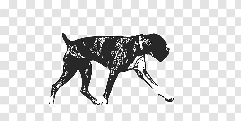 Great Dane Dog Breed Sporting Group Military Army - Boxer Transparent PNG