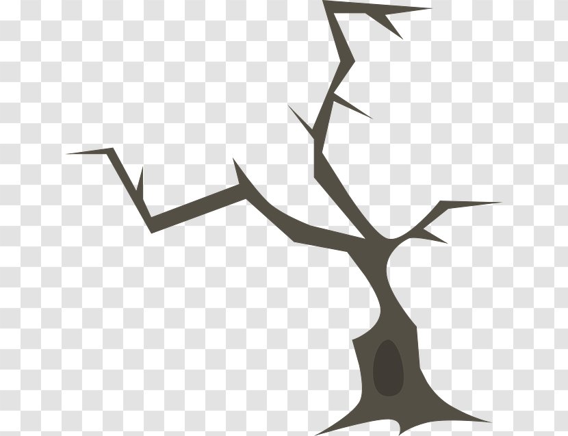 Twig Branch Tree Forest Wood - Zelkova Serrata Transparent PNG