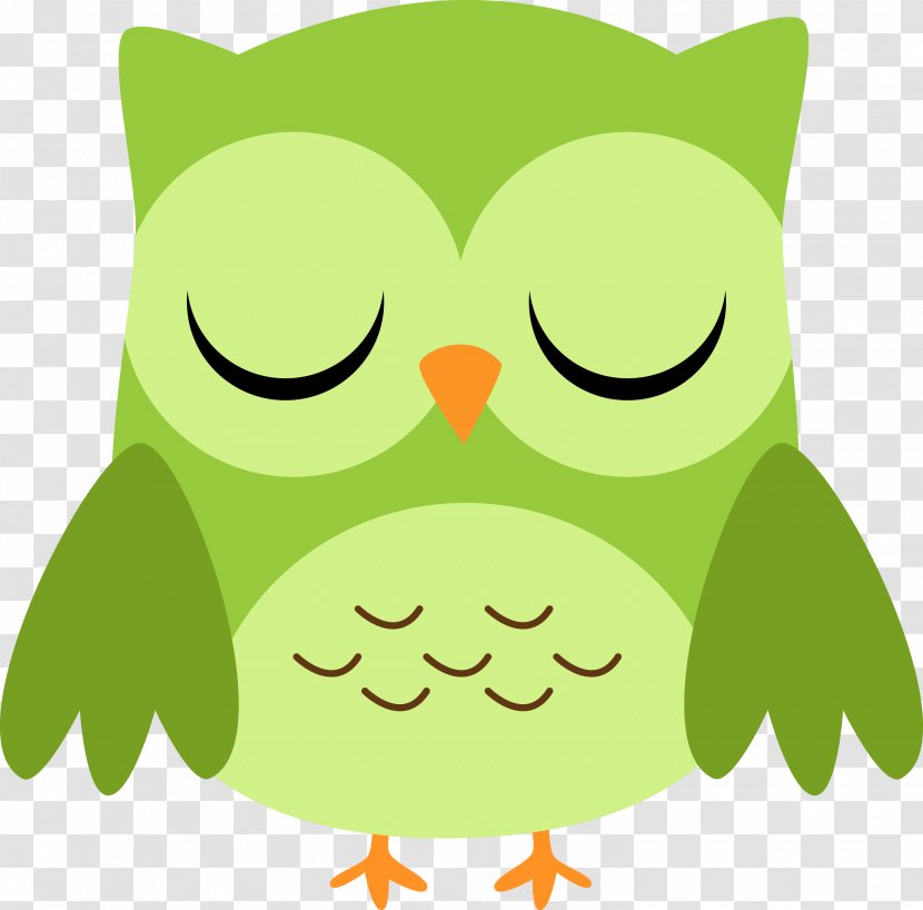 Owl Blue-green Clip Art - Fauna Transparent PNG