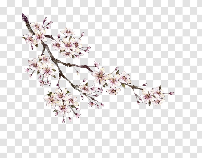 Peach Download - Petal - Branches Transparent PNG