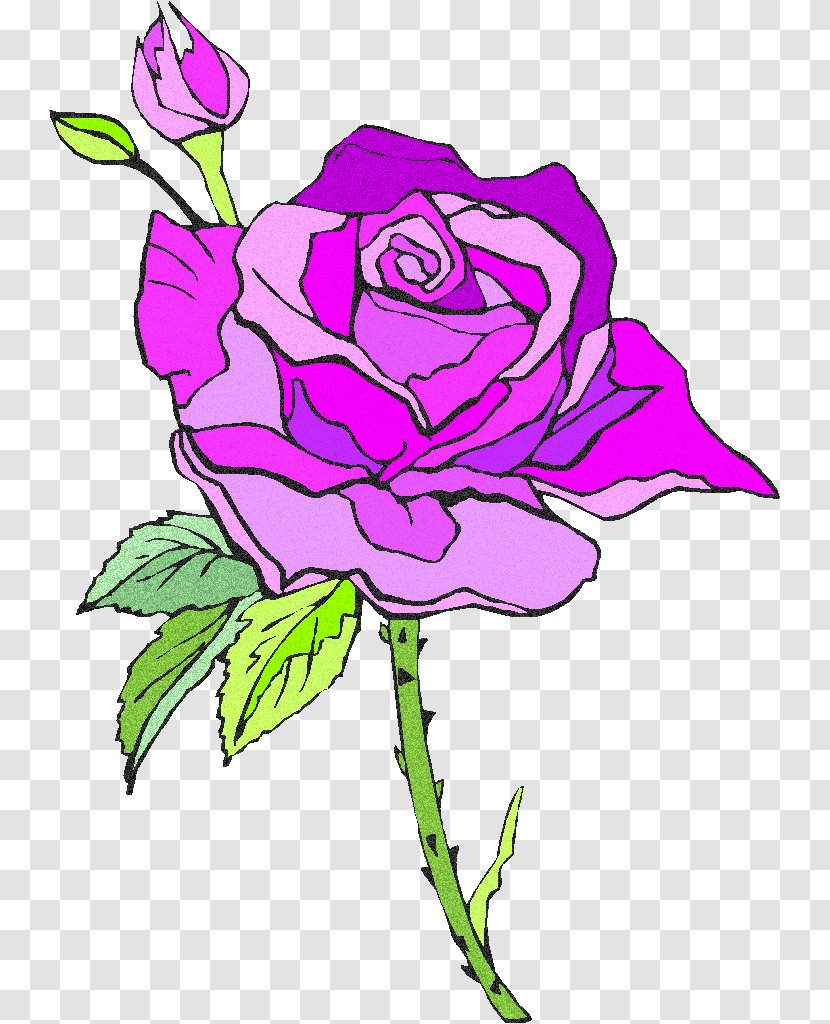 Floral Design Centifolia Roses Garden Pink Beach Rose - Rosa - Flower Transparent PNG