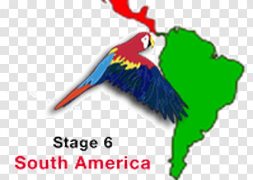 St. Anne's, Newfoundland And Labrador Costa Rica Nicaragua Appeared Was Gone An Absurd Unrealistic Dream Of Peace - Macaw - Colombian Woman Day Transparent PNG