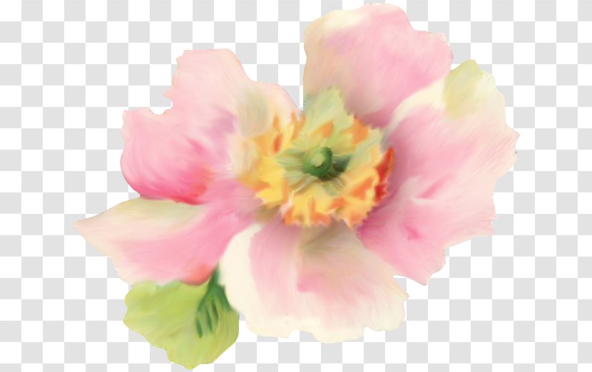Drawing Watercolor Painting Clip Art - Blossom - Petal Transparent PNG