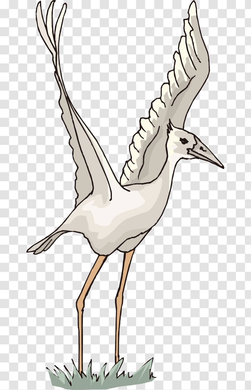 Red-crowned Crane Vector Graphics White Stork - Cranelike Bird - Cartoon Transparent PNG