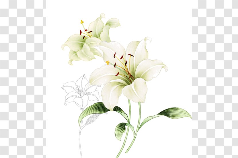 Cut Flowers Floral Design Flower Bouquet - Petal Transparent PNG
