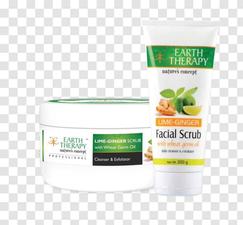 Cream Lotion Sunscreen Facial Massage - Aloe Vera Transparent PNG