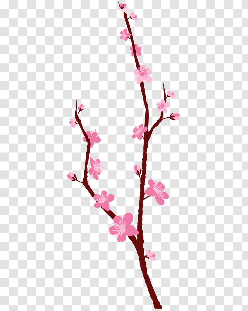 Cherry Blossom Floral Design Plant Stem Twig - Flora - Blossoms Transparent PNG
