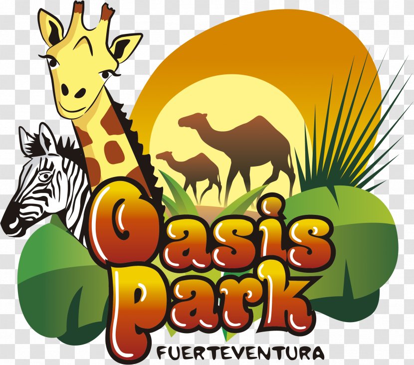 Oasis Park La Lajita Amusement Zoo - Organism - Lipno Transparent PNG