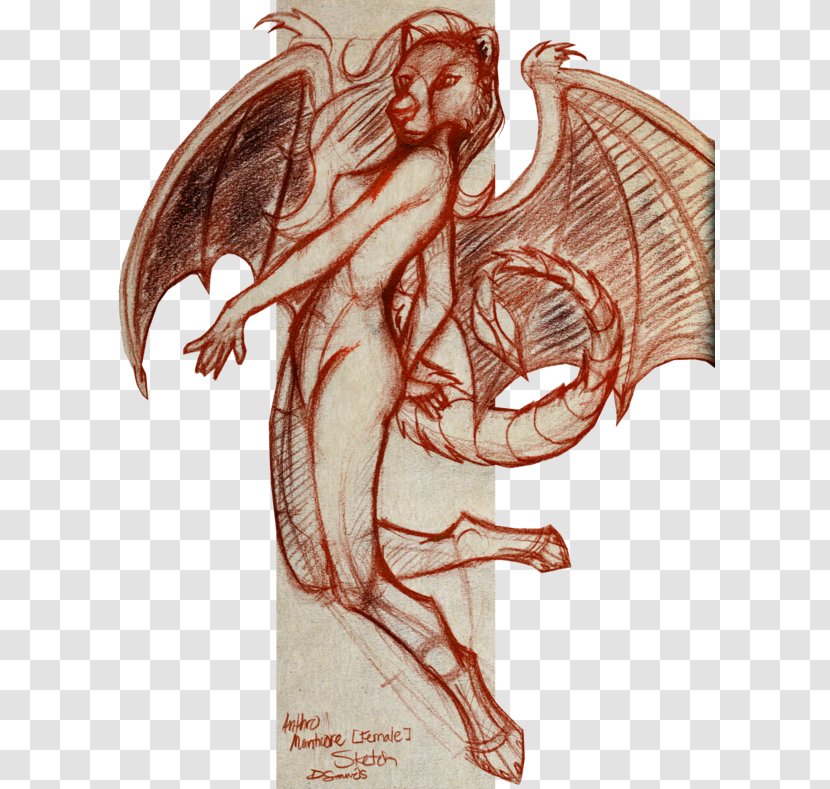 Dragon Mythology Cartoon Muscle - Frame Transparent PNG
