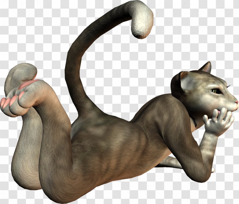 Muscle - Small To Medium Sized Cats - 3d. Transparent PNG