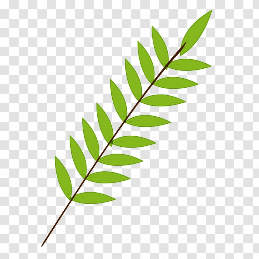 Branch Leaf Green - Leaves Transparent PNG