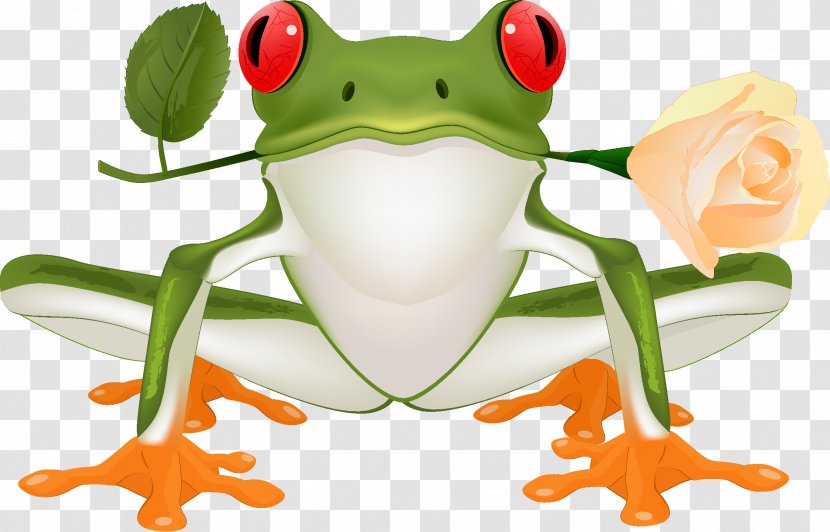 Frog - Amphibian - Agalychnis Transparent PNG