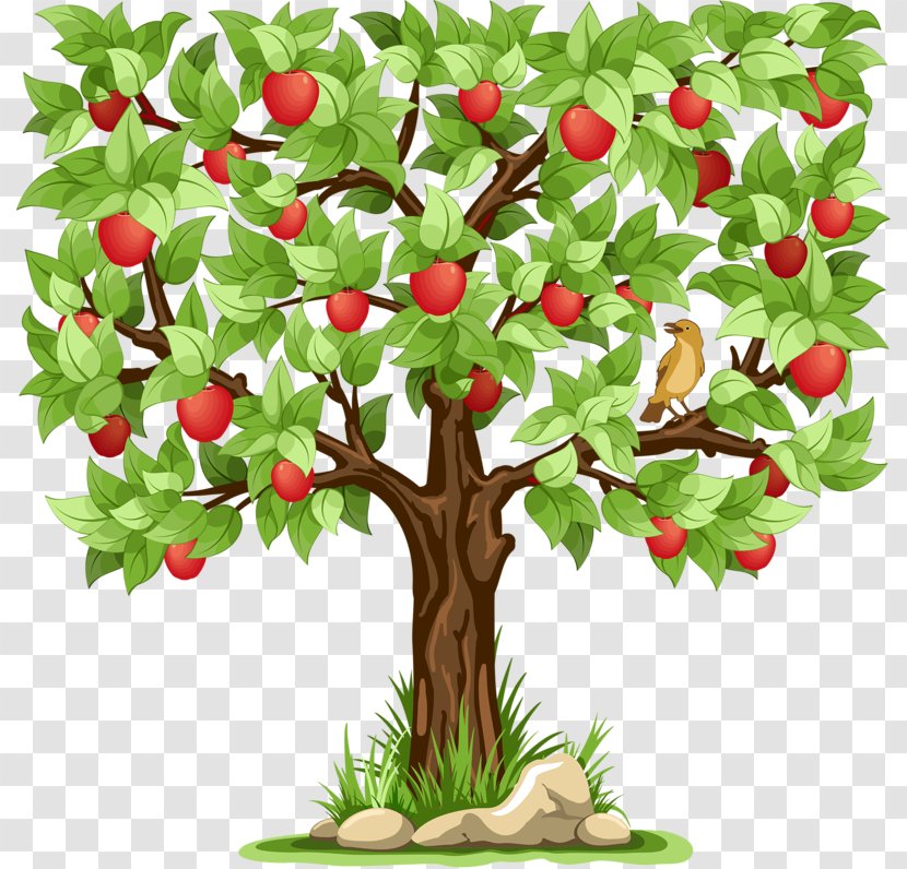 Apple Stock Photography Clip Art - Plant Stem - Cartoon Tree Transparent PNG