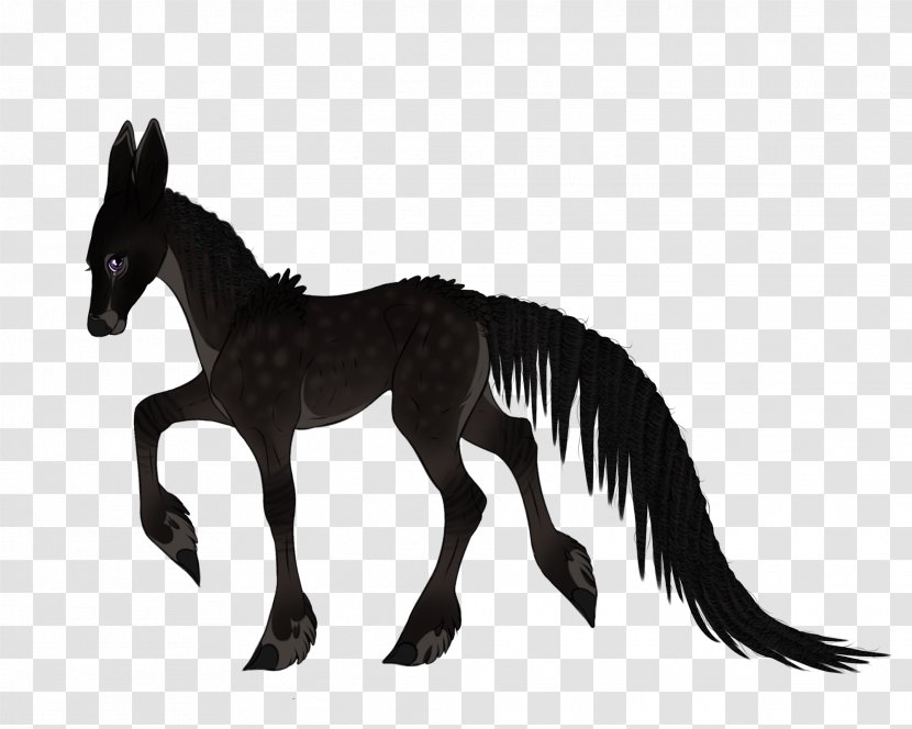 Mule Mustang Foal Stallion Colt - Mane - Animal Figure Transparent PNG