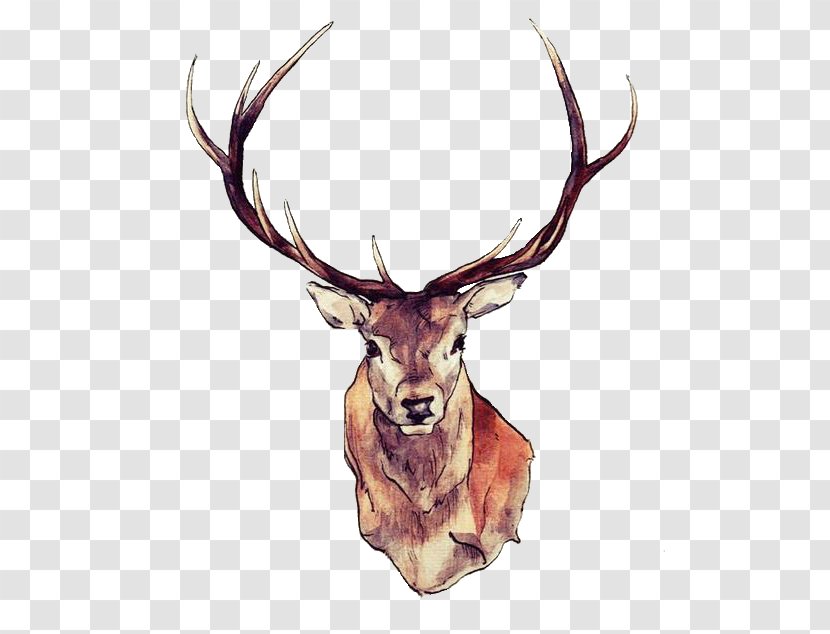 Reindeer Moose Elk Tattoo - Deer Hunting - Watercolor Animals Transparent PNG