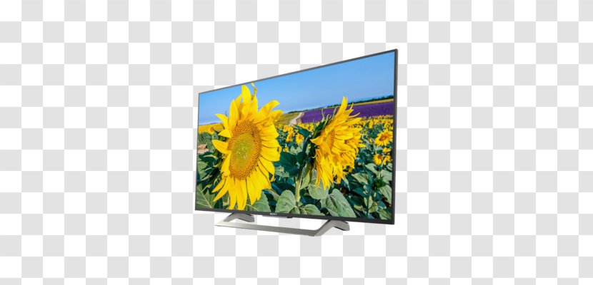 Sony KD - Corporation - 43XF8096LED-backlit LCD TVSmart TV4K UHD (2160p) Ultra-high-definition Television Bravia CorporationHigh Dynamic Range Transparent PNG