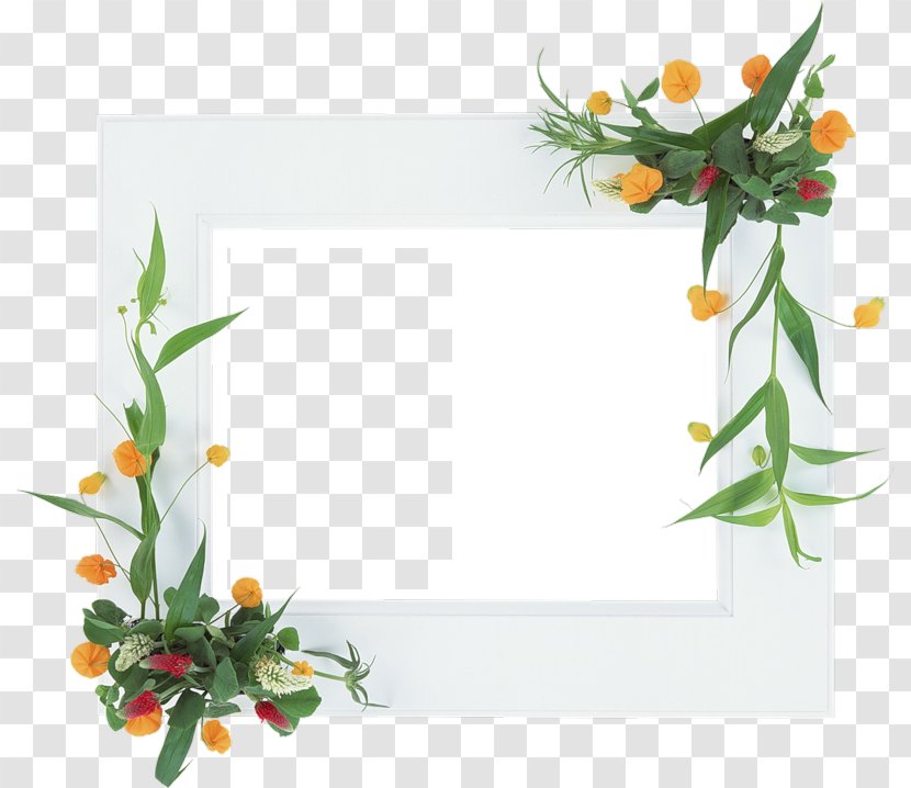 Floral Design Picture Frames Flower Film Frame - Arranging Transparent PNG