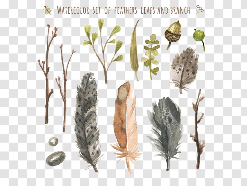 Watercolor Painting Feather Paper Pen - Plant - Leaves And Branches Transparent PNG