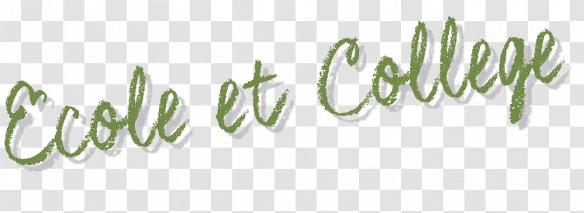 Logo Brand Leaf Grasses Font - Tree Transparent PNG