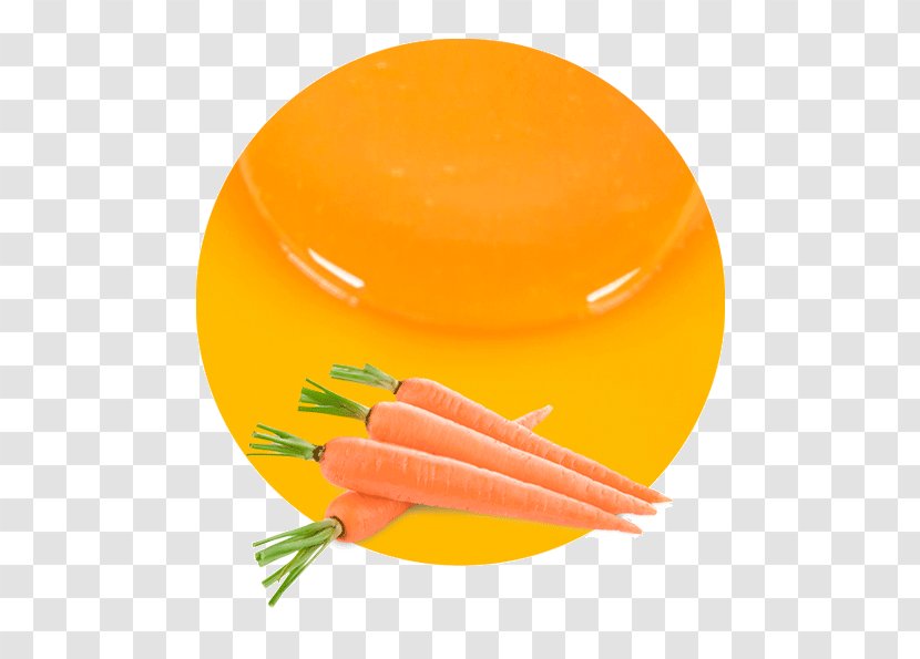 Carrot Juice Vegetable Vegetarian Cuisine - Maker Transparent PNG