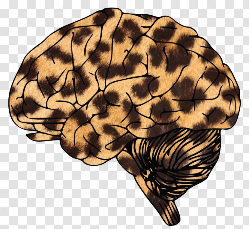 Leopard Brain Tumor T-shirt - Cartoon Transparent PNG