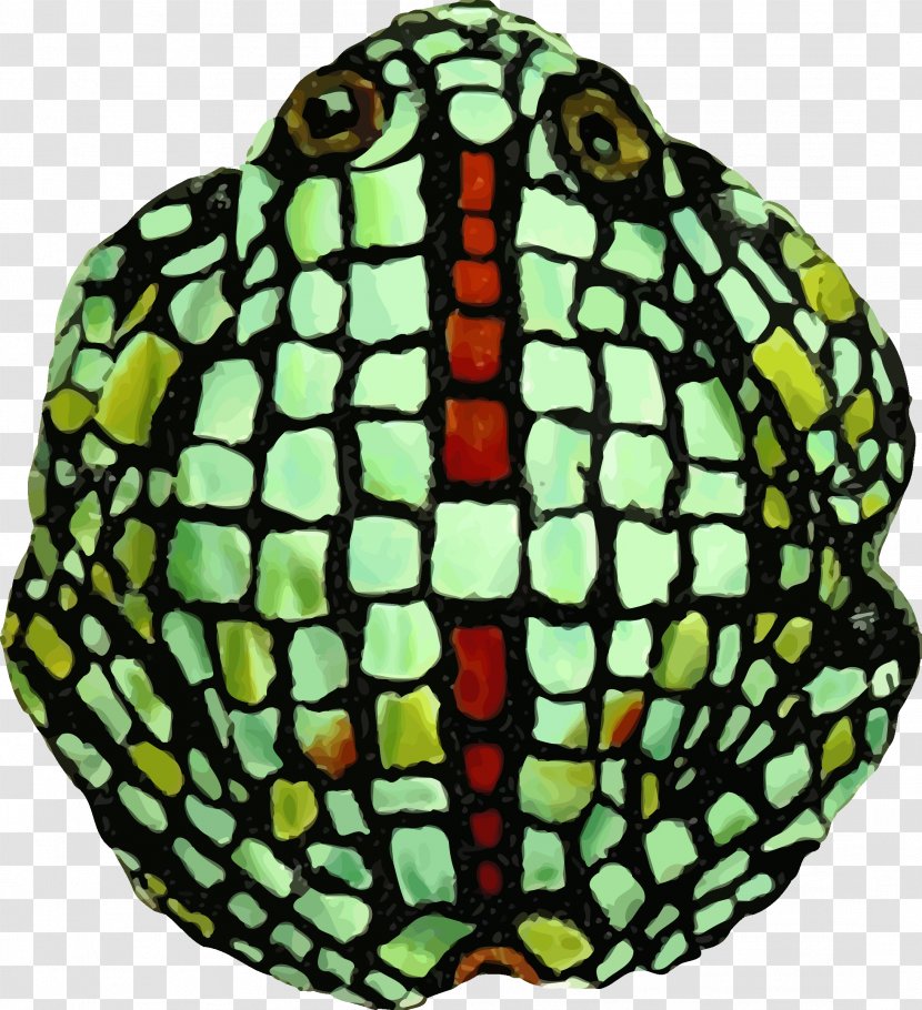 Biological Illustration Clip Art - Science - Frog Transparent PNG