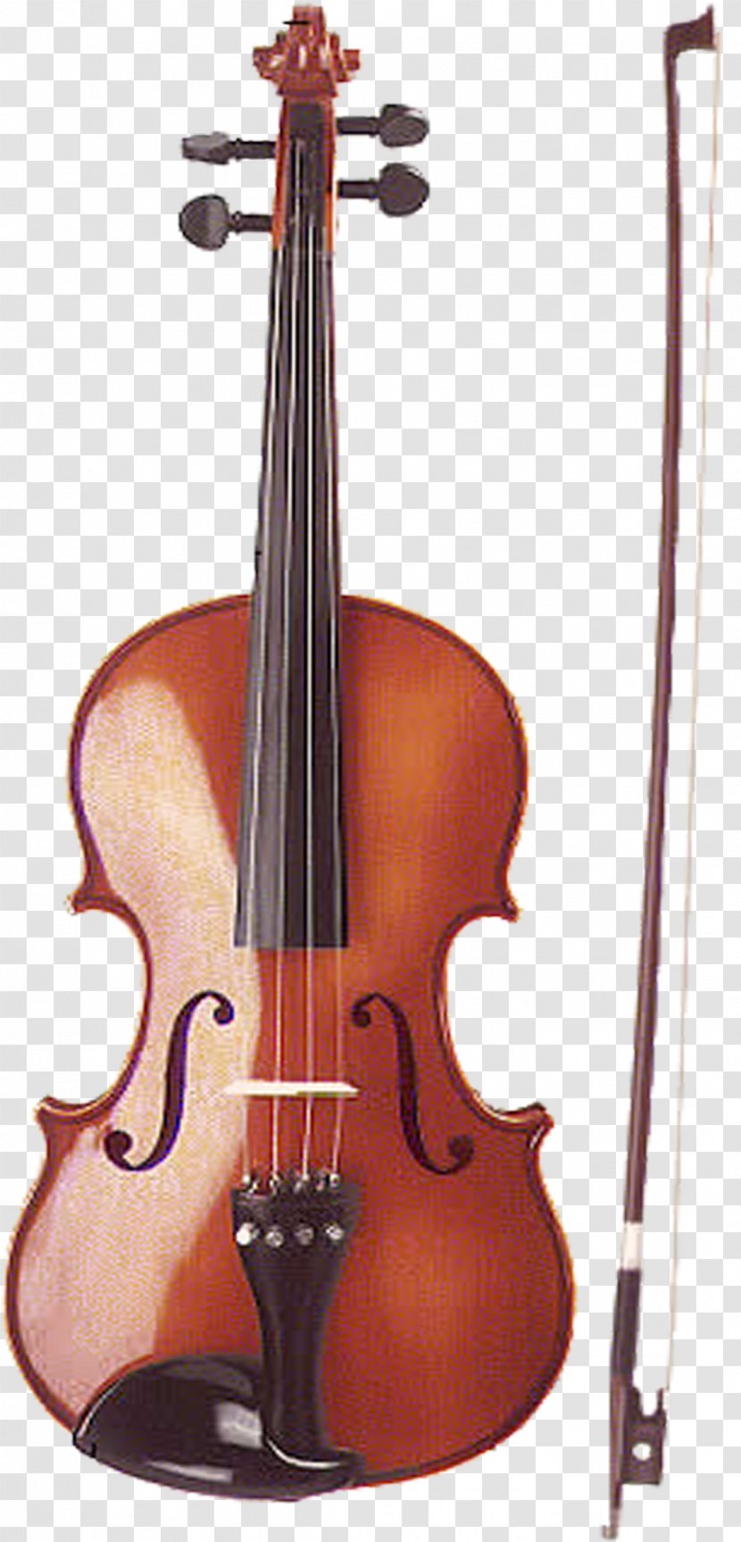 Cremona Violin Stradivarius Cello Musical Instruments - Flower Transparent PNG