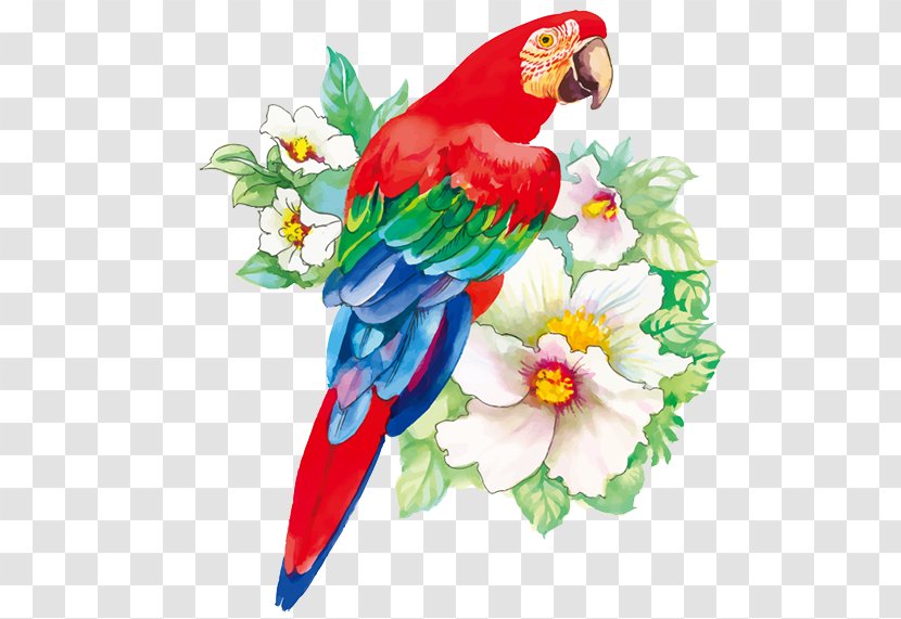 Bird Flower Drawing Watercolor Painting - Parakeet - Parrot Transparent PNG