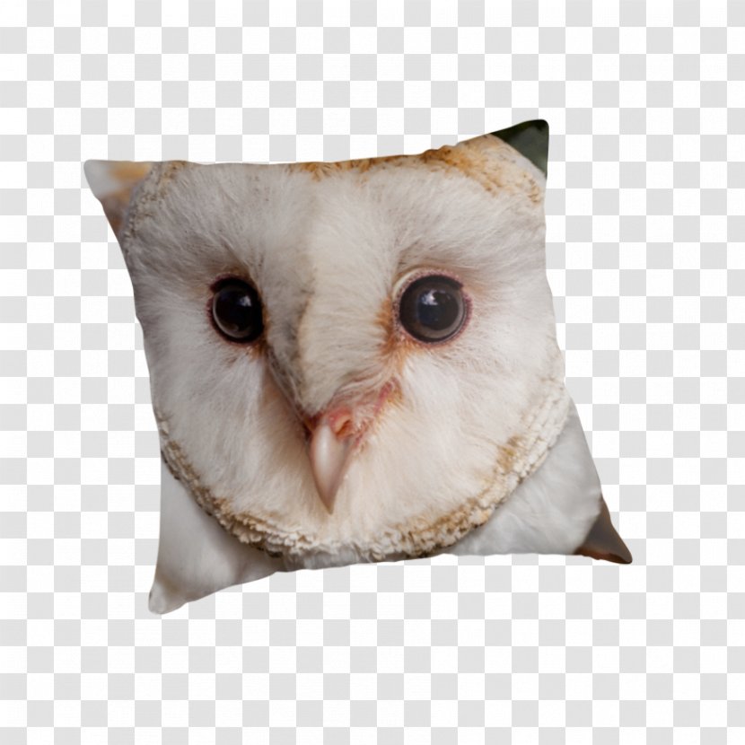 Owl Throw Pillows Cushion Beak - Pillow - Barn Transparent PNG