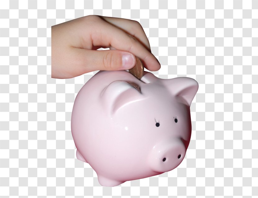 Piggy Bank Coin Money - Domestic Pig Transparent PNG