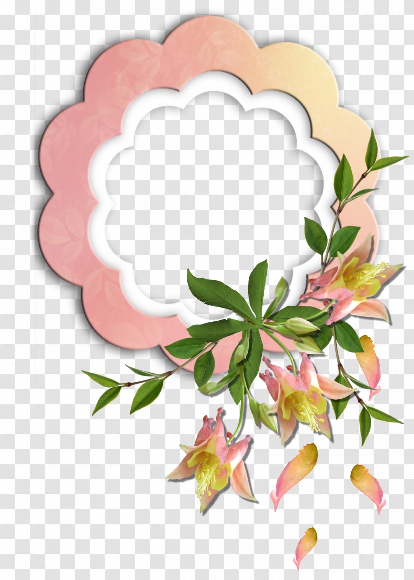 Floral Design Picture Frames Flower Photography - Business Cluster - Magnolia Material Transparent PNG