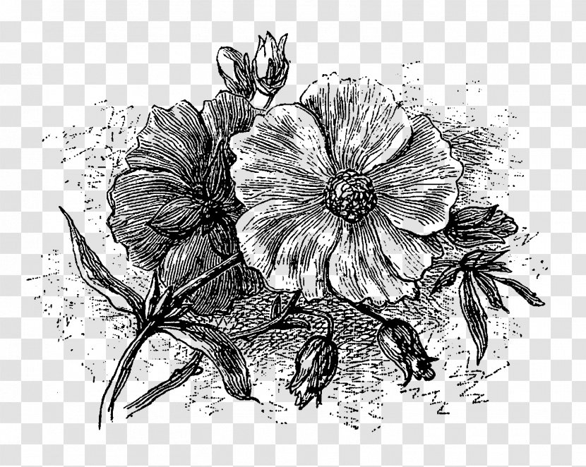 Azathoth Cthulhu Mythos The Thing On Doorstep Other Gods - Artwork - Botanical Flowers Transparent PNG