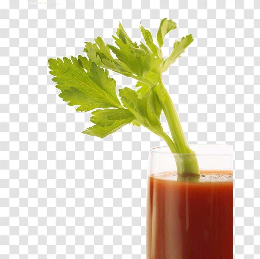 Juicer Smoothie Celery Tomato - Vegetable Juice Transparent PNG