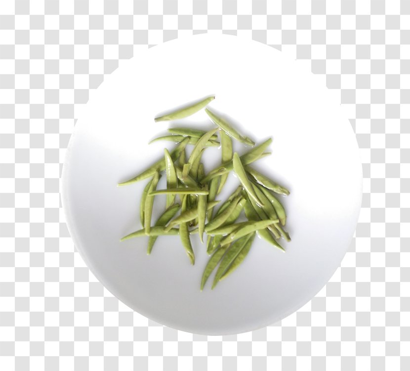 Tea Hu014djicha Bancha Bai Mudan Gyokuro - Sencha - White Saucer Tree Transparent PNG