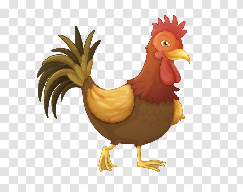 Chicken Vector Graphics Royalty-free Stock Photography Rooster Transparent PNG