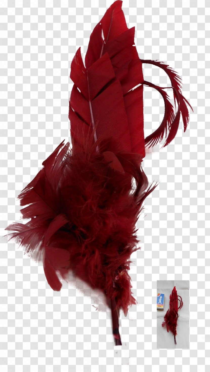 White Feather Red Color Transparent PNG