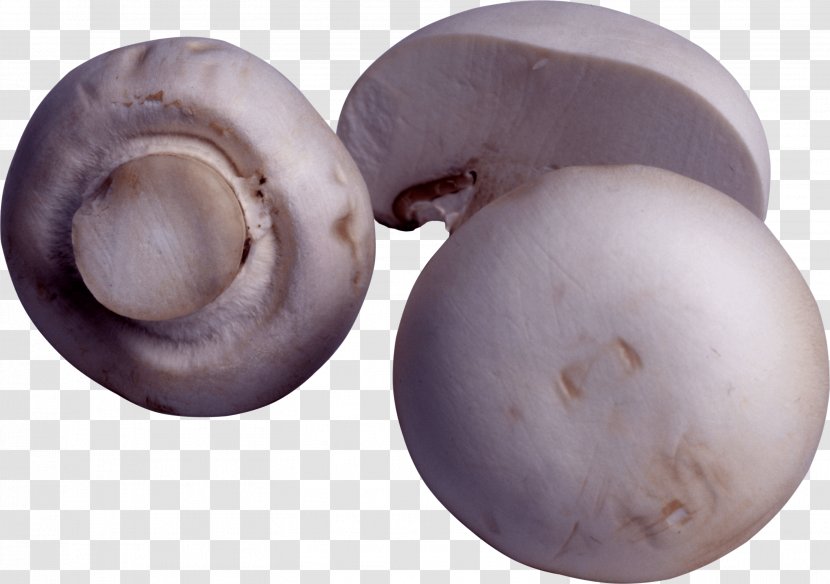 Mushroom Fungus Calocybe Gambosa Food - Photography - Image Transparent PNG