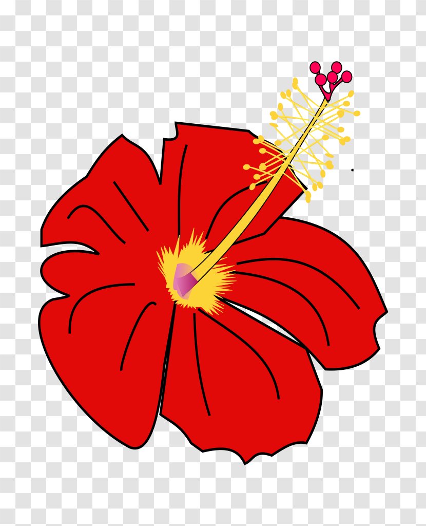 Flower Hibiscus Moscheutos Mallows Plant Clip Art - Schizopetalus Transparent PNG