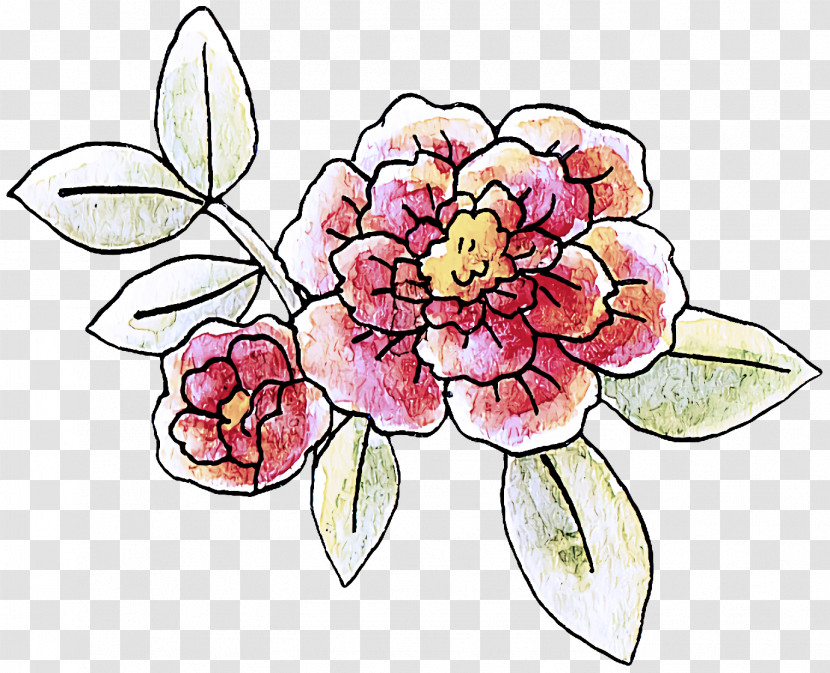 Floral Design Transparent PNG