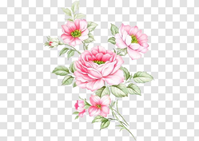 Garden Roses Floral Design Advertising Cut Flowers - Rosa Centifolia Transparent PNG
