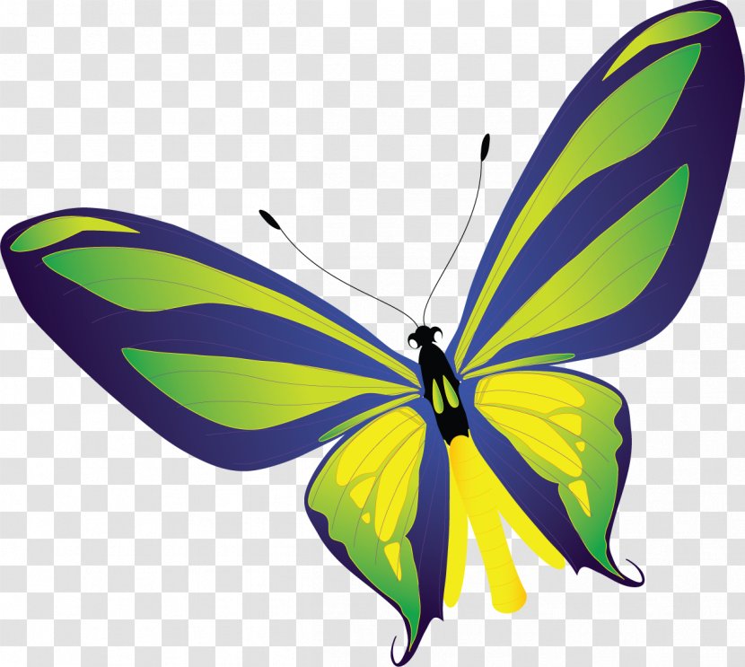 Monarch Butterfly Pieridae Clip Art - Yellow - Butterflies Transparent PNG