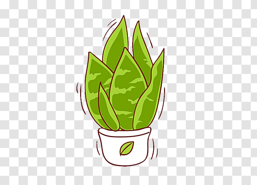 Aloe Vera Plant Illustration - Color - Pot Of Transparent PNG