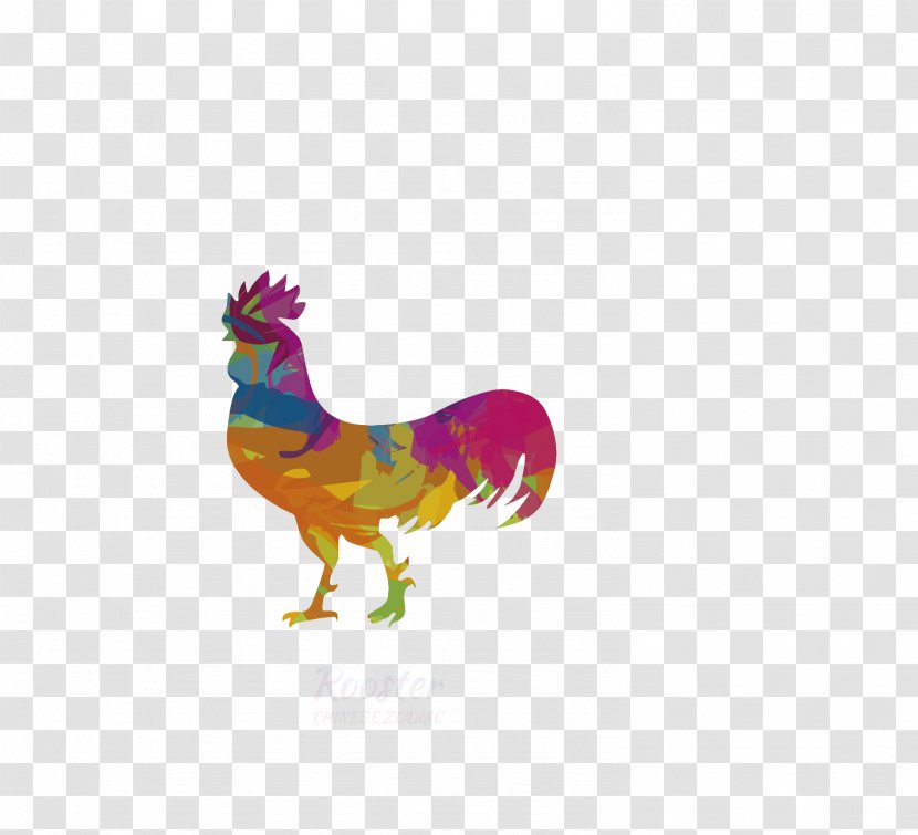 Chicken Euclidean Vector Rooster - Beak - Colored Transparent PNG