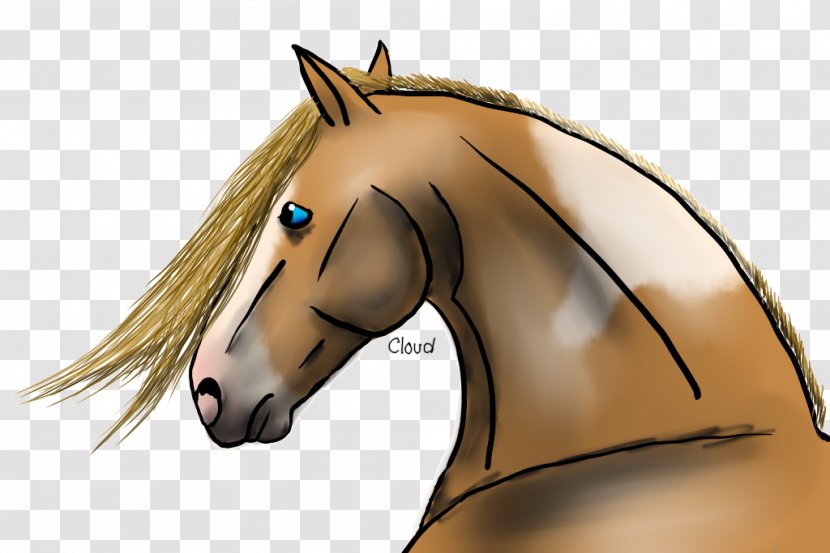 Mane Pony Mustang Halter Stallion - Horse Transparent PNG