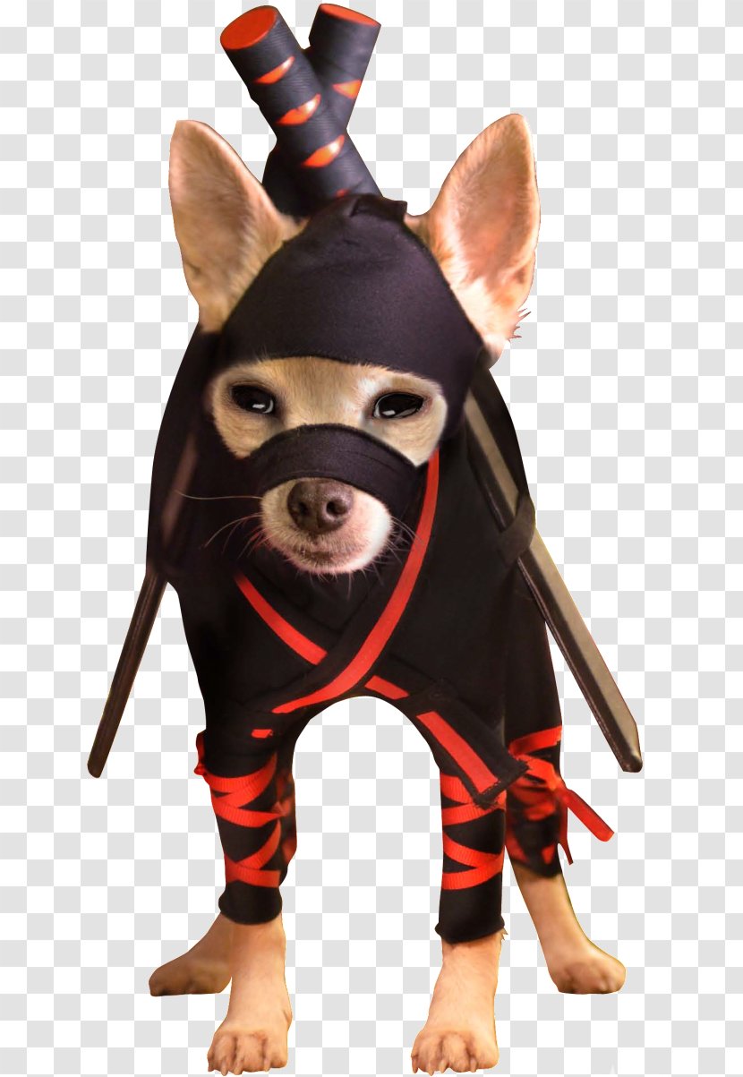 Chihuahua Puppy Ninja Dog German Shepherd Breed Transparent PNG