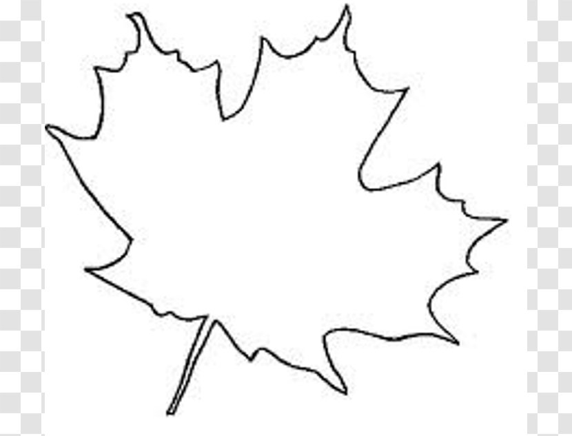 Sugar Maple Japanese Canada Leaf - Point - Outline Transparent PNG
